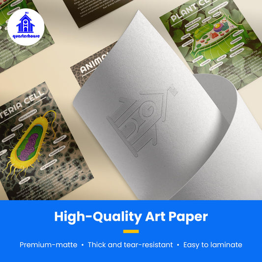 Quarterhouse Cells (Biology) Poster Set, Science Classroom Learning Materials for K-12 Students and Teachers, Set of 4, 12x18, Extra Durable