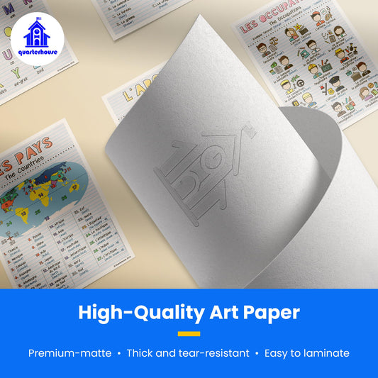 Quarterhouse French Verbs & Beginner Vocabulary (Set D) Poster Set, French Classroom Learning Materials for K-12 Students and Teachers, Set of 11, 12 x 18 Inches, Extra Durable