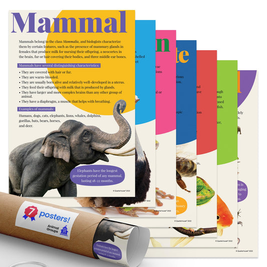 Quarterhouse Animal Groups Poster Set, Science Classroom Learning Materials for K-12 Students and Teachers, Set of 7, 12x18, Extra Durable