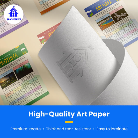 Quarterhouse Six Kingdoms of Biology Poster Set, Science Classroom Learning Materials for K-12 Students and Teachers, Set of 6, 12x18, Extra Durable