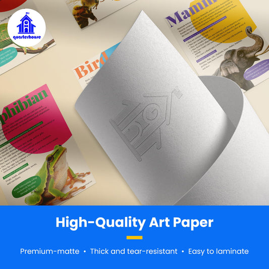 Quarterhouse Animal Groups Poster Set, Science Classroom Learning Materials for K-12 Students and Teachers, Set of 7, 12x18, Extra Durable