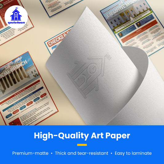 Quarterhouse Three Branches of US Government: Checks and Balances Poster Set, Social Studies Classroom Learning Materials for K-12 Students and Teachers, Set of 4, 12 x 18 Inches, Extra Durable