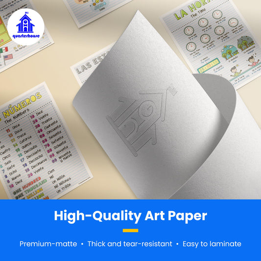 Quarterhouse Spanish Verbs & Beginner Vocabulary (Set B) Poster Set, Spanish Classroom Learning Materials for K-12 Students and Teachers, Set of 11, 12 x 18 Inches, Extra Durable