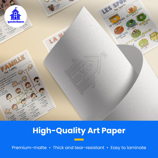 Quarterhouse French Verbs & Beginner Vocabulary (Set E) Poster Set, French Classroom Learning Materials for K-12 Students and Teachers, Set of 11, 12 x 18 Inches, Extra Durable