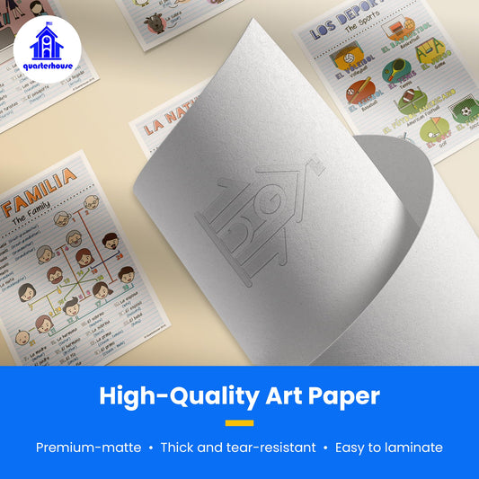 Quarterhouse Spanish Verbs & Beginner Vocabulary (Set E) Poster Set, Spanish Classroom Learning Materials for K-12 Students and Teachers, Set of 11, 12 x 18 Inches, Extra Durable