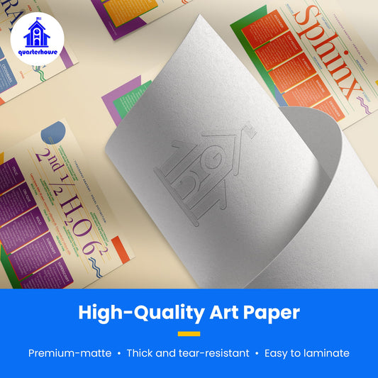 Quarterhouse Typography (Basic Anatomy) Poster Set, Art Classroom Learning Materials for K-12 Students and Teachers, Set of 5, 12x18, Extra Durable