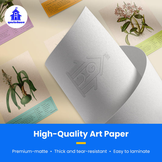 Quarterhouse Vintage Botanical Prints Poster Set, Science Classroom Learning Materials for K-12 Students and Teachers, Set of 8, 12 x 18 Inches, Extra Durable