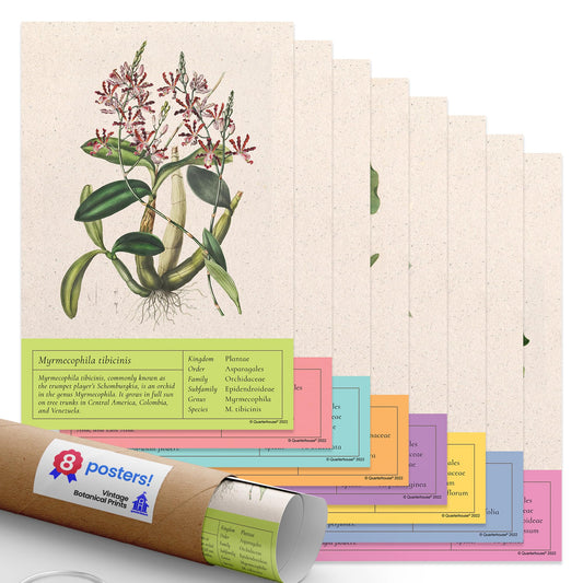 Quarterhouse Vintage Botanical Prints Poster Set, Science Classroom Learning Materials for K-12 Students and Teachers, Set of 8, 12 x 18 Inches, Extra Durable