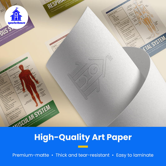 Quarterhouse Human Body Systems Poster Set, Science Classroom Learning Materials for K-12 Students and Teachers, Set of 8, 12x18, Extra Durable