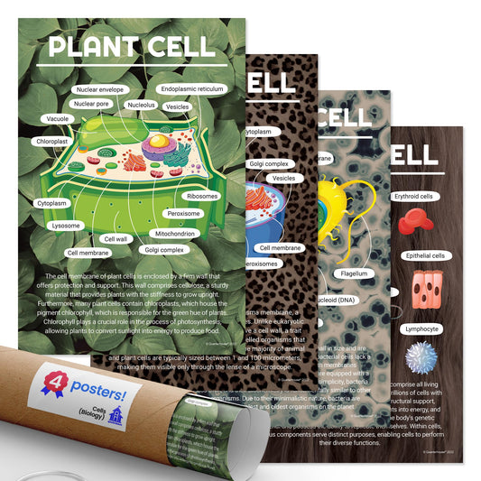 Quarterhouse Cells (Biology) Poster Set, Science Classroom Learning Materials for K-12 Students and Teachers, Set of 4, 12x18, Extra Durable