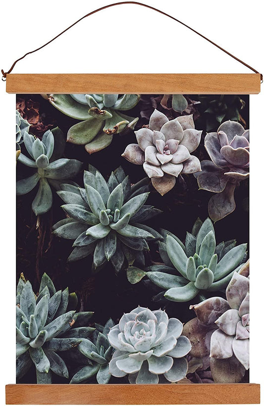 Quarterhouse Magnetic Wood Frames - Dark, Natural, Black, and White (Teak and Pine Wood), 12 Inches Wide