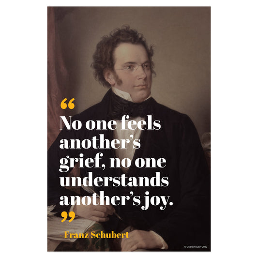 Quarterhouse Franz Schubert Motivational Poster, Music Classroom Materials for Teachers
