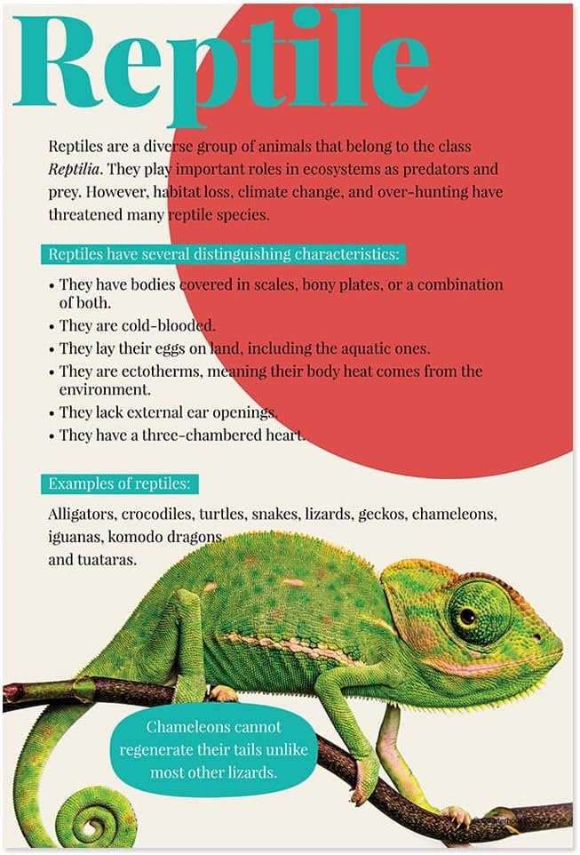 Quarterhouse Animal Groups Poster Set, Science Classroom Learning Materials for K-12 Students and Teachers, Set of 7, 12x18, Extra Durable