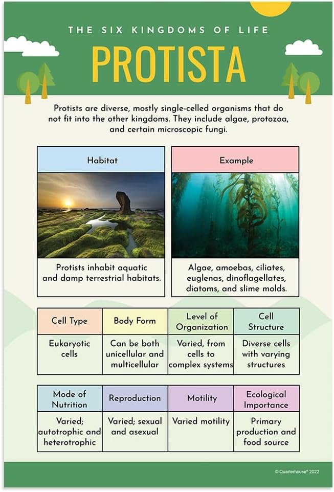 Quarterhouse Six Kingdoms of Biology Poster Set, Science Classroom Learning Materials for K-12 Students and Teachers, Set of 6, 12x18, Extra Durable