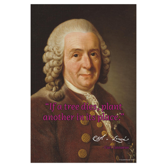 Quarterhouse Scientist Quotables - Carl Linnaeus Motivational Poster, Science Classroom Materials for Teachers