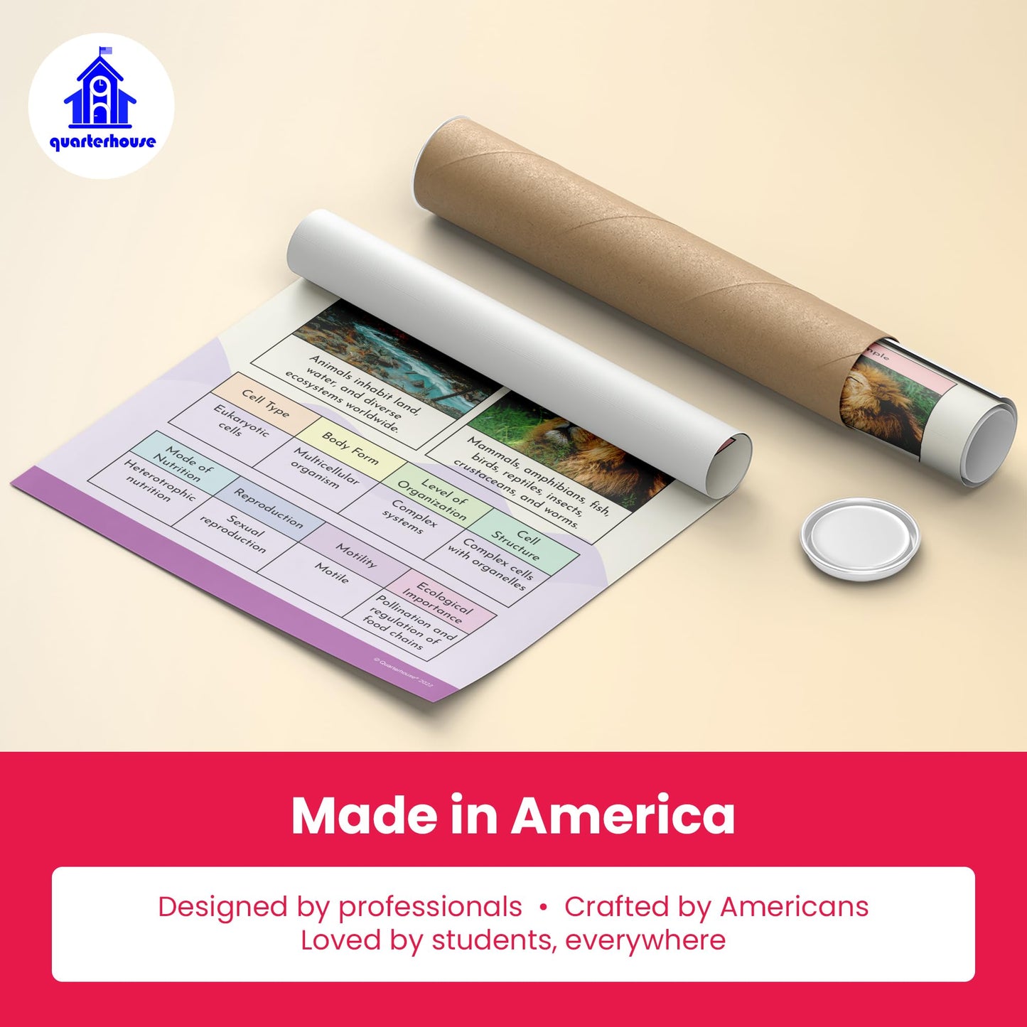 Quarterhouse Six Kingdoms of Biology Poster Set, Science Classroom Learning Materials for K-12 Students and Teachers, Set of 6, 12x18, Extra Durable