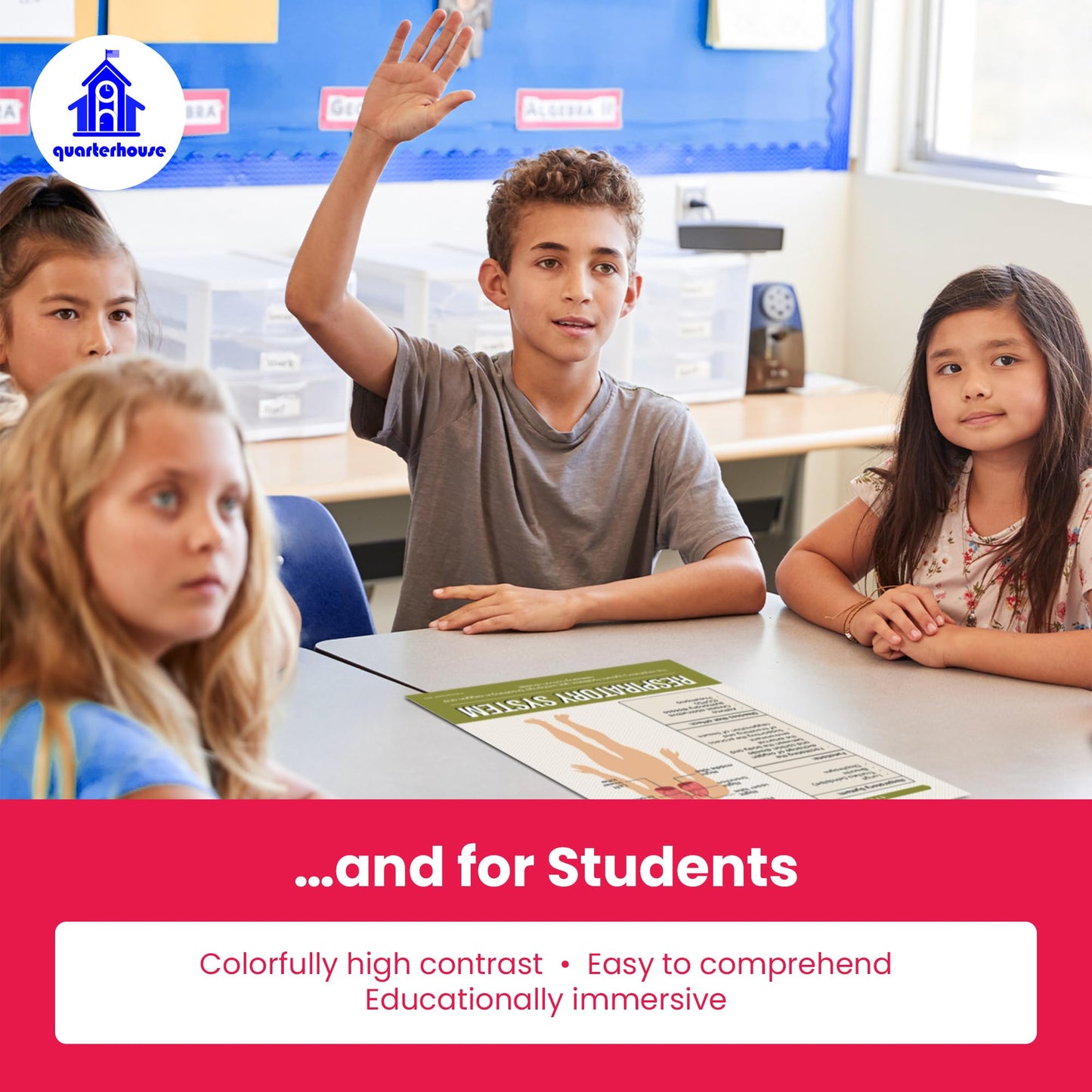 Quarterhouse Human Body Systems Poster Set, Science Classroom Learning Materials for K-12 Students and Teachers, Set of 8, 12x18, Extra Durable