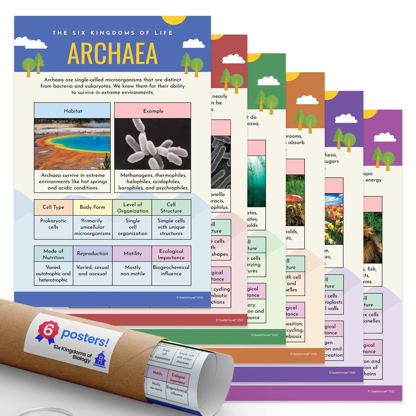 Quarterhouse Six Kingdoms of Biology Poster Set, Science Classroom Learning Materials for K-12 Students and Teachers, Set of 6, 12x18, Extra Durable
