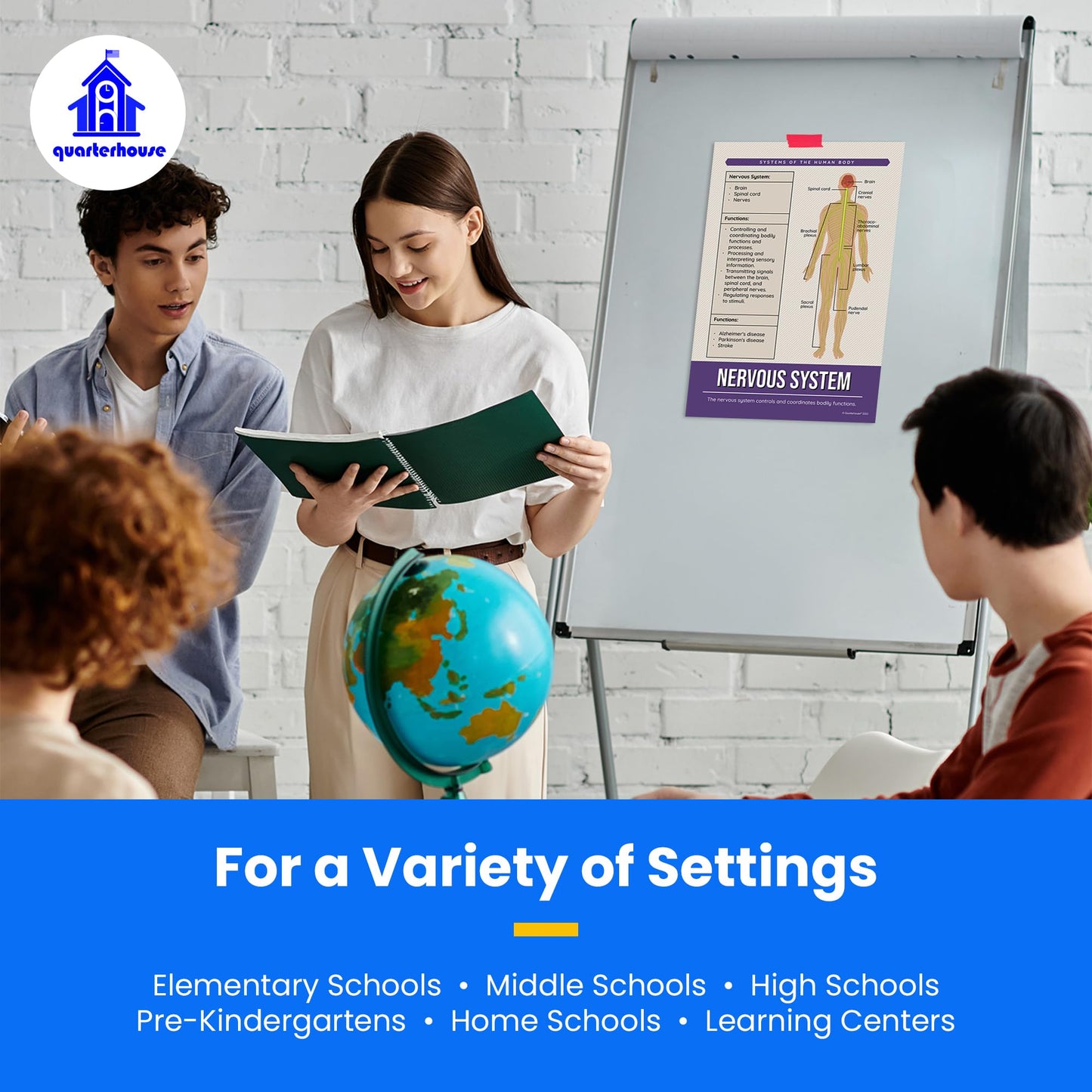 Quarterhouse Human Body Systems Poster Set, Science Classroom Learning Materials for K-12 Students and Teachers, Set of 8, 12x18, Extra Durable