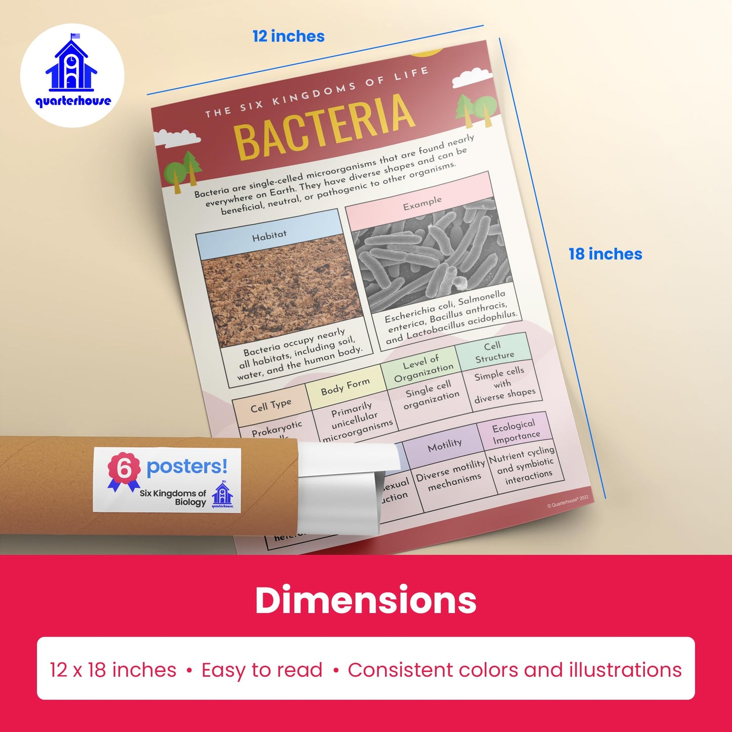 Quarterhouse Six Kingdoms of Biology Poster Set, Science Classroom Learning Materials for K-12 Students and Teachers, Set of 6, 12x18, Extra Durable