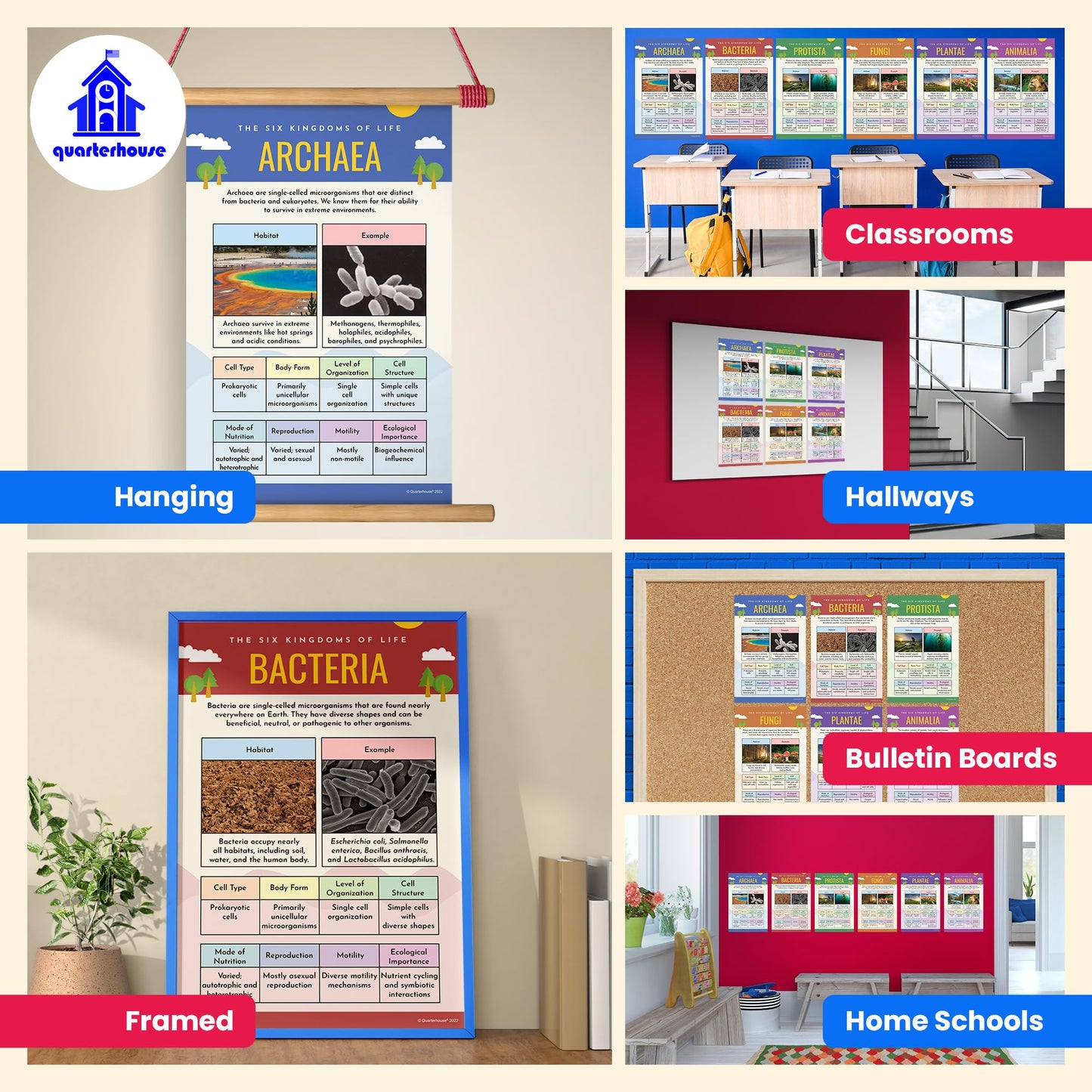 Quarterhouse Six Kingdoms of Biology Poster Set, Science Classroom Learning Materials for K-12 Students and Teachers, Set of 6, 12x18, Extra Durable