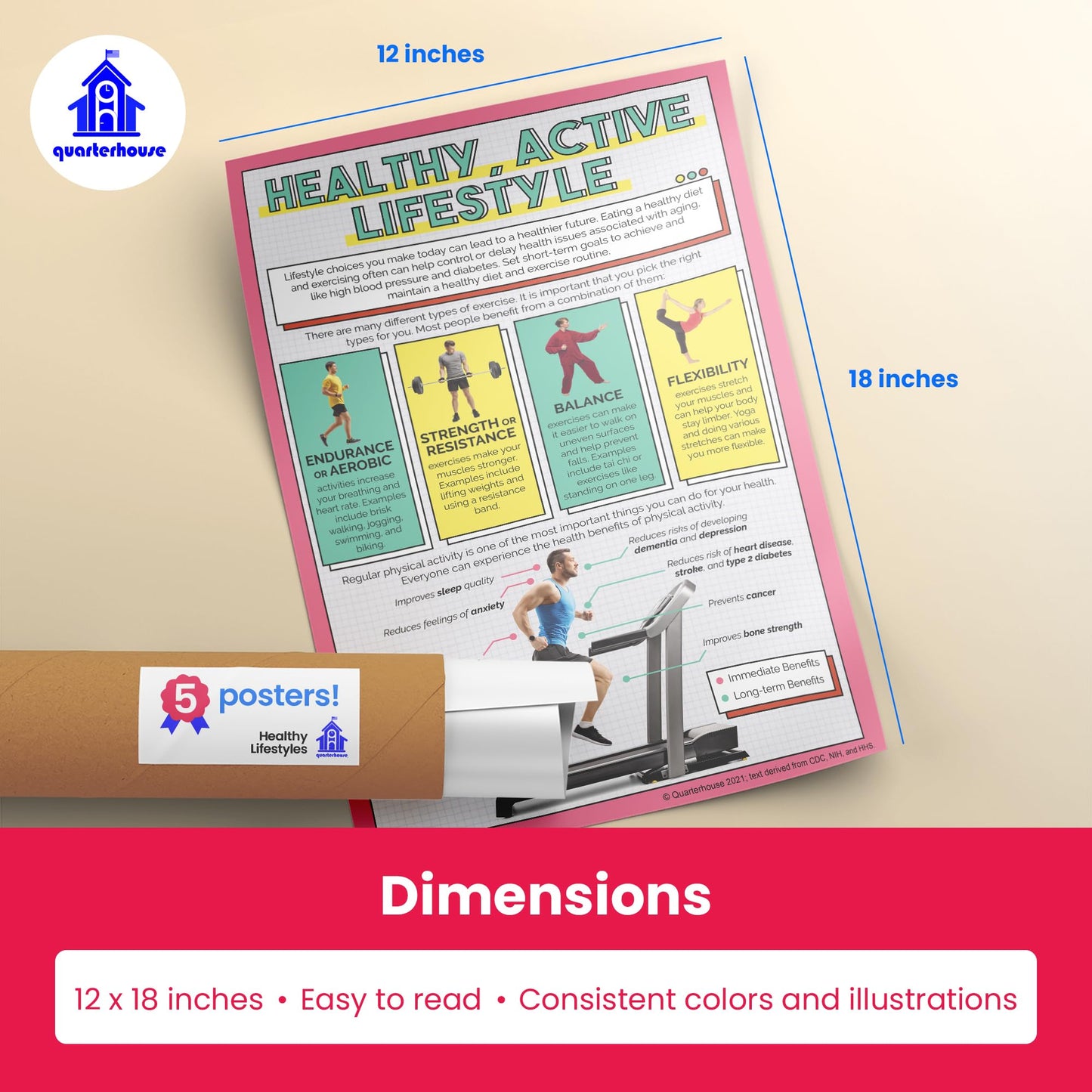 Quarterhouse Healthy Lifestyles Poster Set, Health and Physical Education Classroom Learning Materials for K-12 Students and Teachers, Set of 5, 12 x 18 Inches, Extra Durable