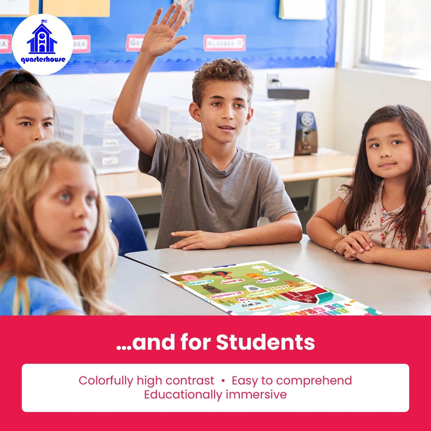 Quarterhouse Extreme Value 20 Large English-Spanish Educational Posters, Learning Materials for Toddlers and Kids, Double-Sided, 12x18, Includes Days, Months, ABCs, Numbers, and Colors