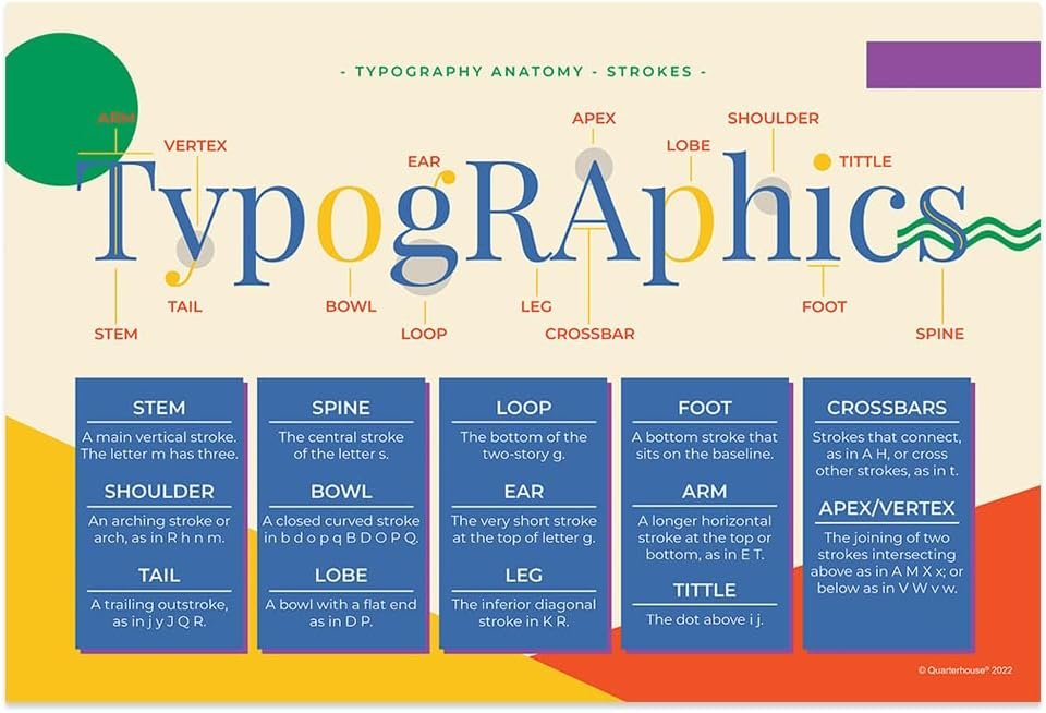 Quarterhouse Typography (Basic Anatomy) Poster Set, Art Classroom Learning Materials for K-12 Students and Teachers, Set of 5, 12x18, Extra Durable