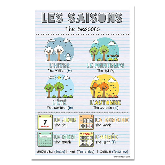 Quarterhouse French Verbs & Beginner Vocabulary (Set B) Poster Set, French Classroom Learning Materials for K-12 Students and Teachers, Set of 11, 12 x 18 Inches, Extra Durable