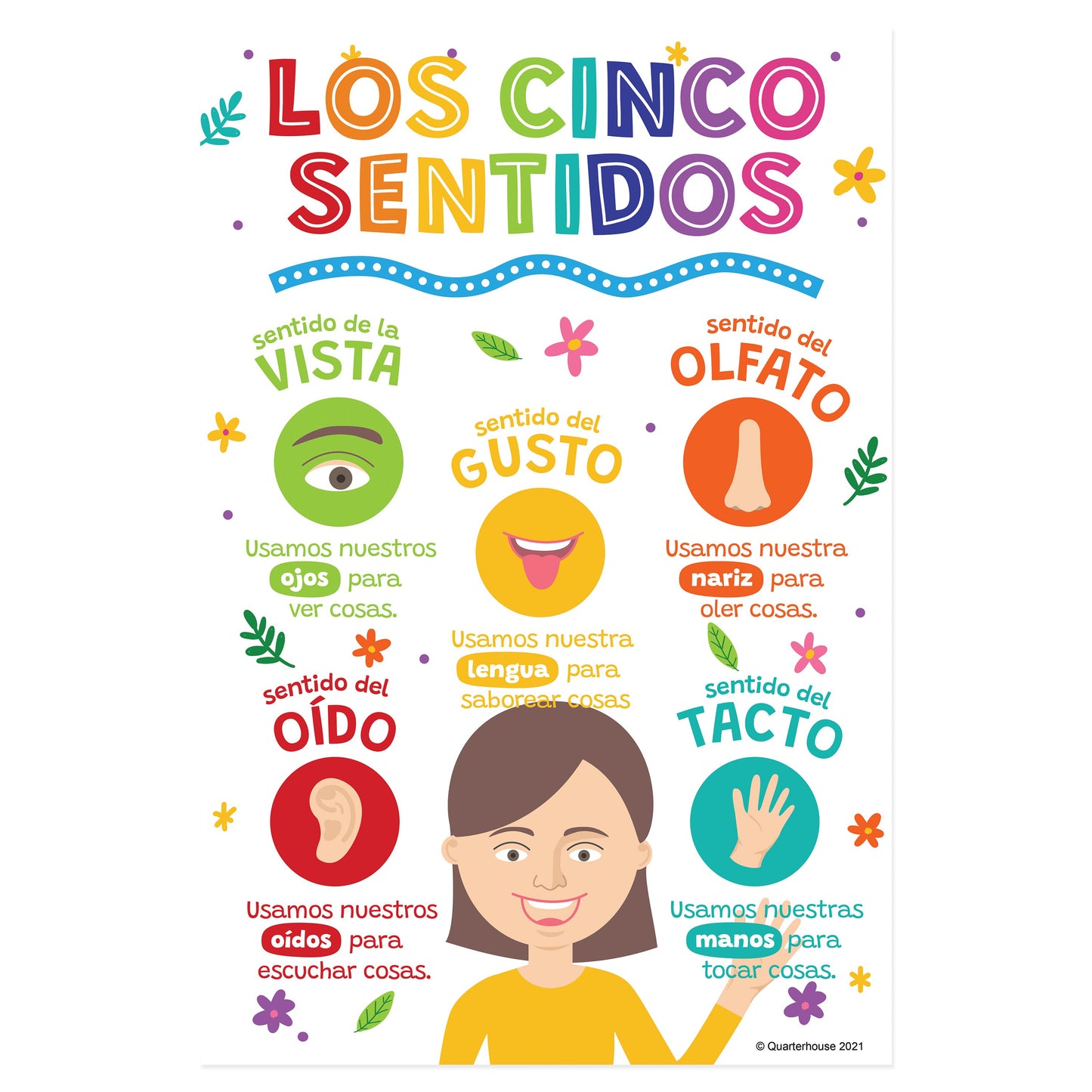 Quarterhouse Beginner Spanish - Five Senses Poster, Spanish and ESL Classroom Materials for Teachers