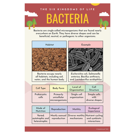 Quarterhouse Bacteria Poster, Science Classroom Materials for Teachers