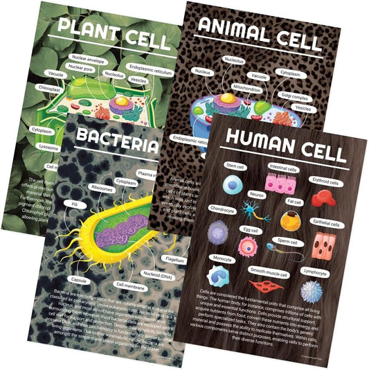 Quarterhouse Cells (Biology) Poster Set, Science Classroom Learning Materials for K-12 Students and Teachers, Set of 4, 12x18, Extra Durable
