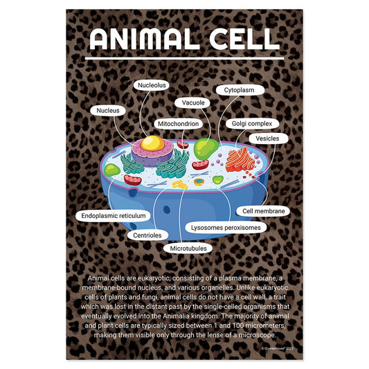 Quarterhouse Animal Cell Poster, Science Classroom Materials for Teachers