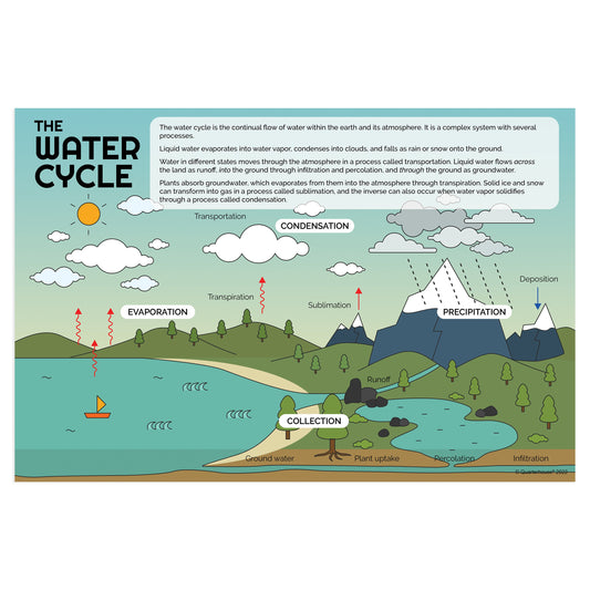 Quarterhouse Water Cycle Poster, Science Classroom Materials for Teachers
