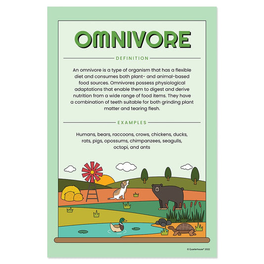 Quarterhouse Omnivore Poster, Science Classroom Materials for Teachers