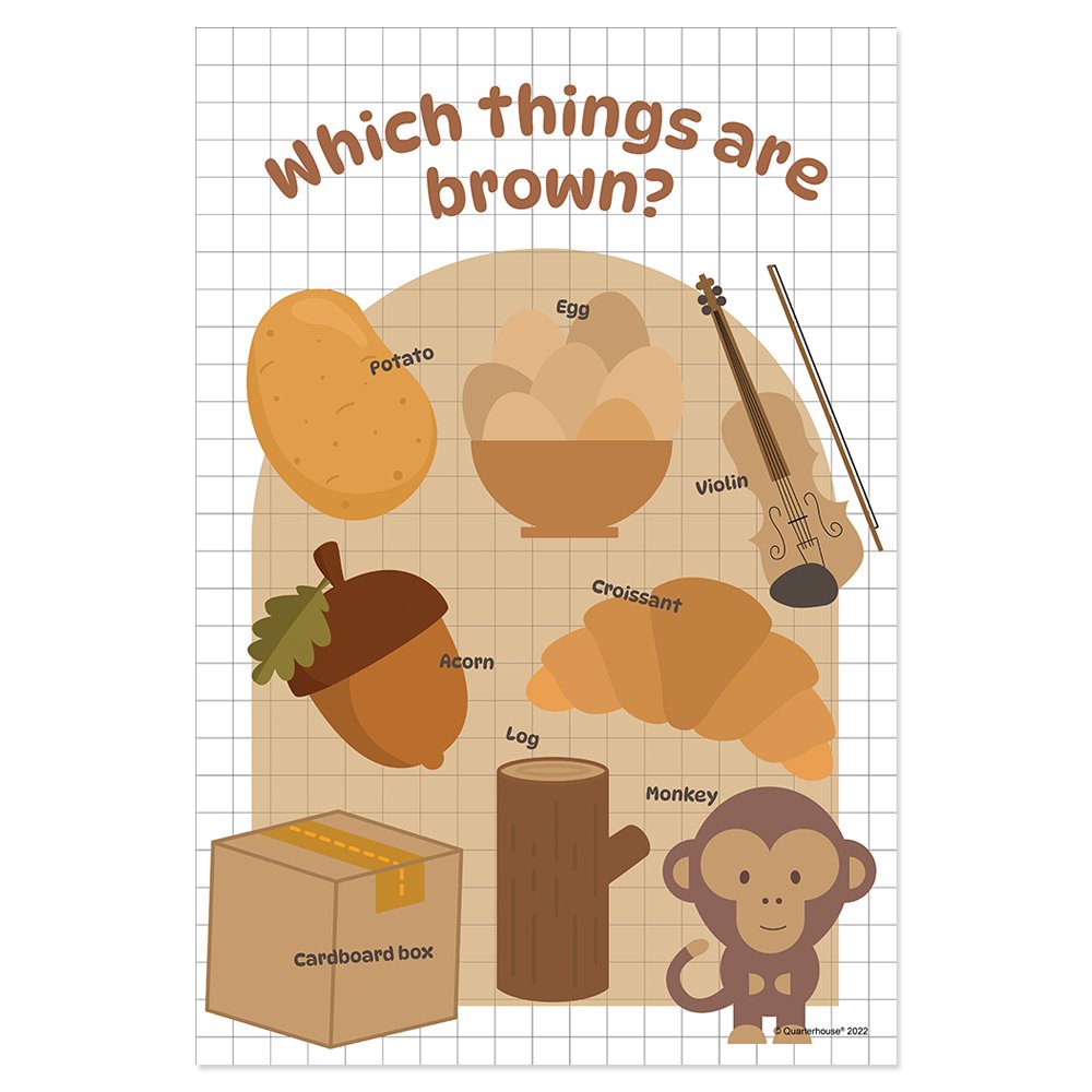 Quarterhouse Brown Color Poster, Art Classroom Materials for Teachers