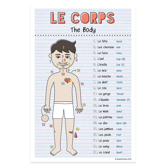 Quarterhouse French Vocabulary - The Body Poster, French and ESL Classroom Materials for Teachers