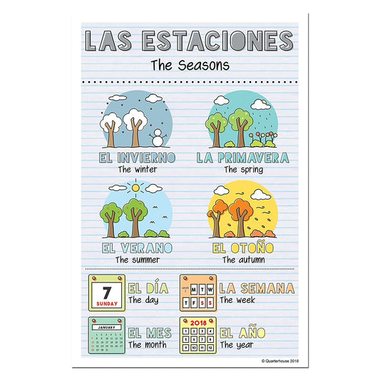 Quarterhouse Spanish Verbs & Beginner Vocabulary (Set B) Poster Set, Spanish Classroom Learning Materials for K-12 Students and Teachers, Set of 11, 12 x 18 Inches, Extra Durable