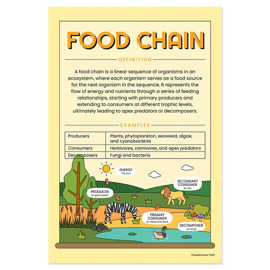 Quarterhouse Food Chain Poster, Science Classroom Materials for Teachers