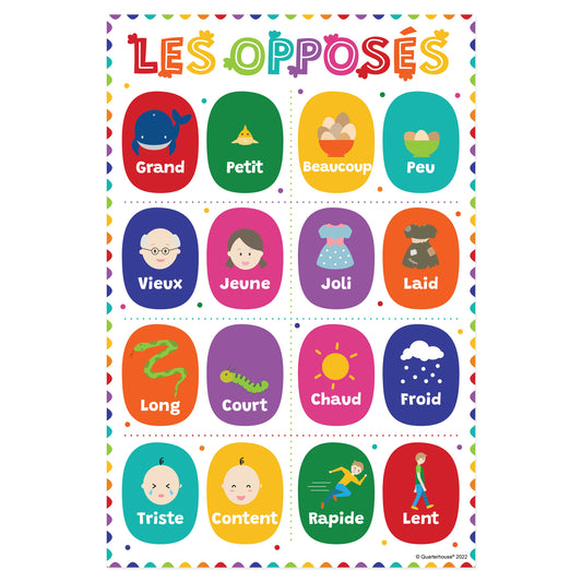 Quarterhouse Beginner French - Opposites Poster, French and ESL Classroom Materials for Teachers