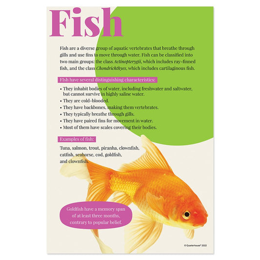 Quarterhouse Fish Poster, Science Classroom Materials for Teachers