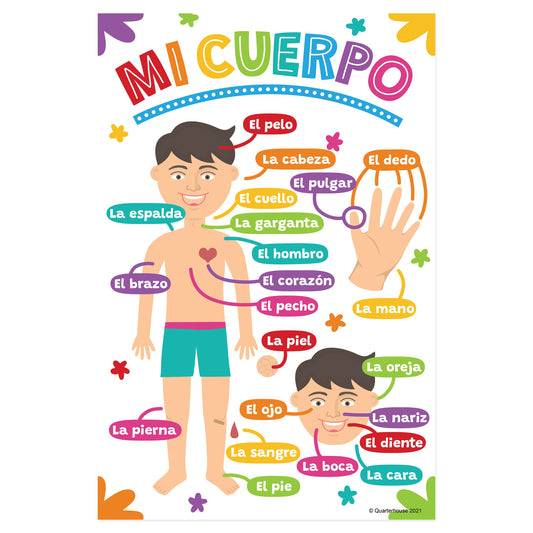 Quarterhouse Beginner Spanish - The Body Poster, Spanish and ESL Classroom Materials for Teachers