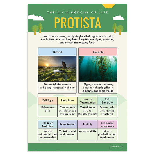 Quarterhouse Protista Poster, Science Classroom Materials for Teachers