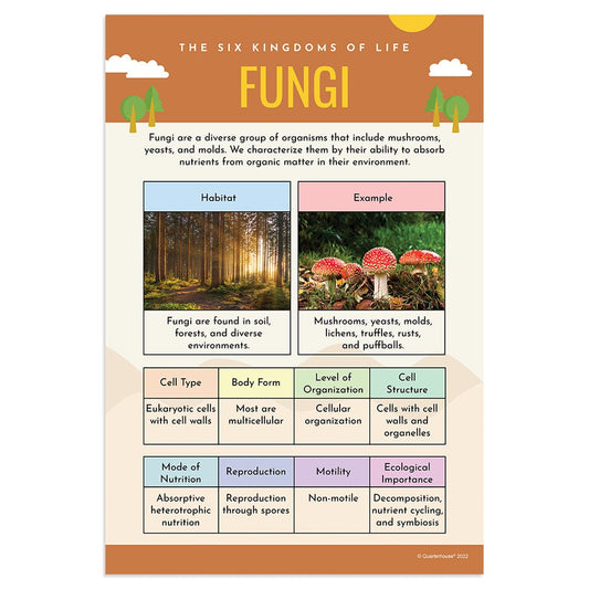 Quarterhouse Fungi Poster, Science Classroom Materials for Teachers