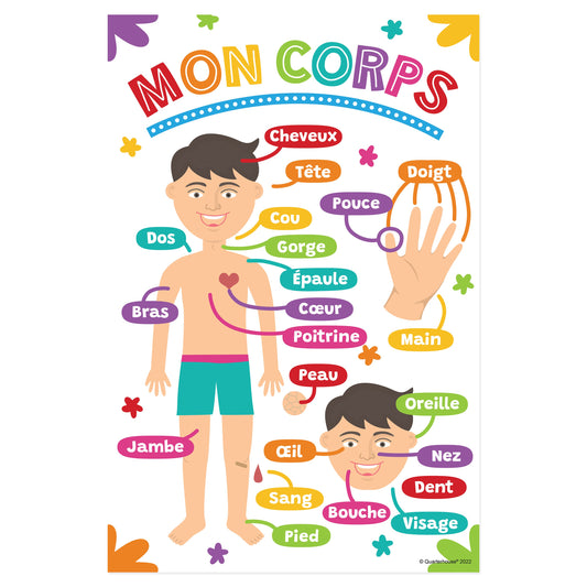 Quarterhouse Beginner French - Anatomy Poster, French and ESL Classroom Materials for Teachers