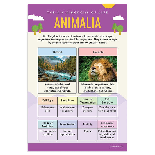 Quarterhouse Animalia Poster, Science Classroom Materials for Teachers