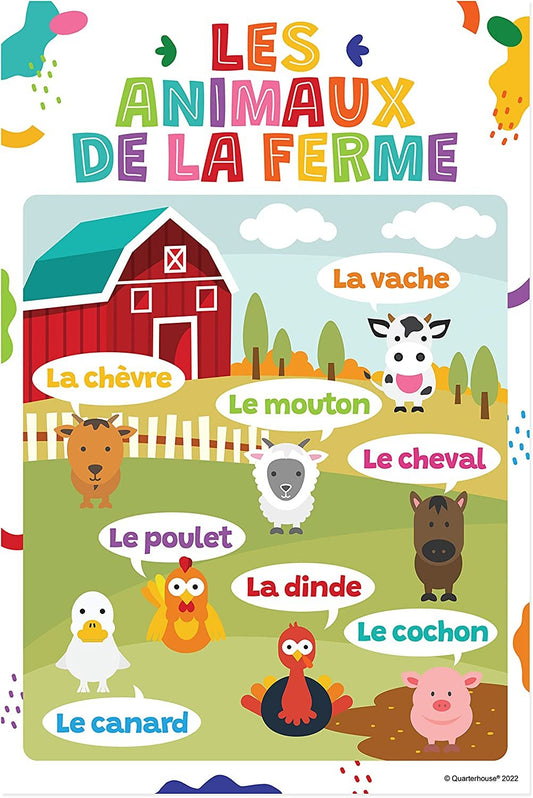 Quarterhouse Extreme Value 20 Large English-French Educational Poster Set, French Classroom Learning Materials for K-12 Students and Teachers, Double-Sided, Set of 20, 12 x 18 Inches, Extra Durable