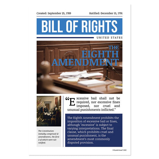 Quarterhouse Eighth Amendment Poster, Social Studies Classroom Materials for Teachers