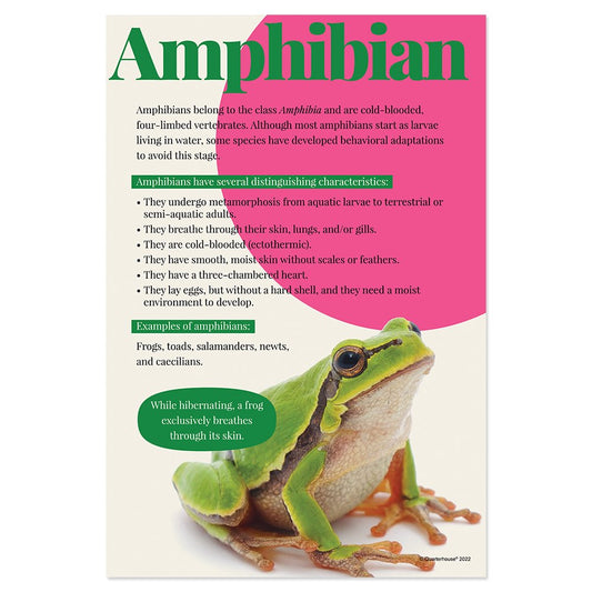 Quarterhouse Amphibians Poster, Science Classroom Materials for Teachers