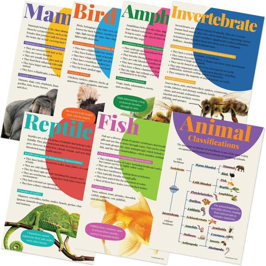Quarterhouse Animal Groups Poster Set, Science Classroom Learning Materials for K-12 Students and Teachers, Set of 7, 12x18, Extra Durable